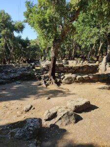 Iklos associazione culturale sant?antioco sito archeologico Roomanzesu